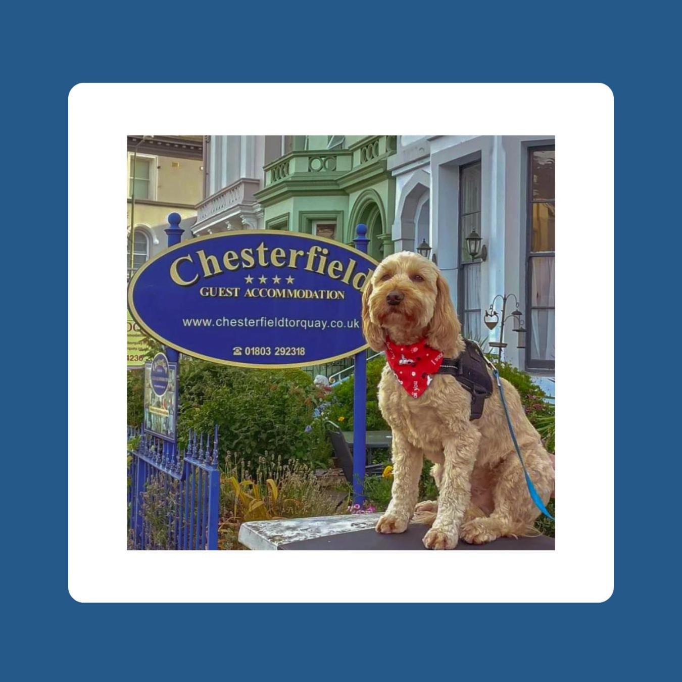The Chesterfield, Torquay (Adults Only) Buitenkant foto